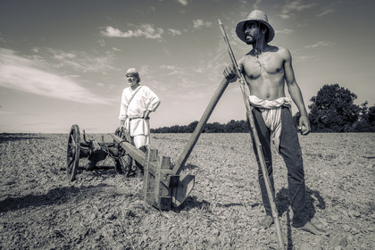 1127 - Labour des champs