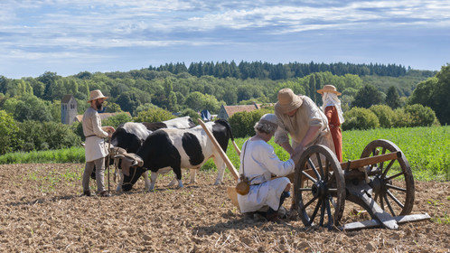 1127 - Labour des champs