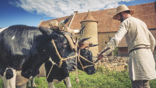 1127 - Labour des champs