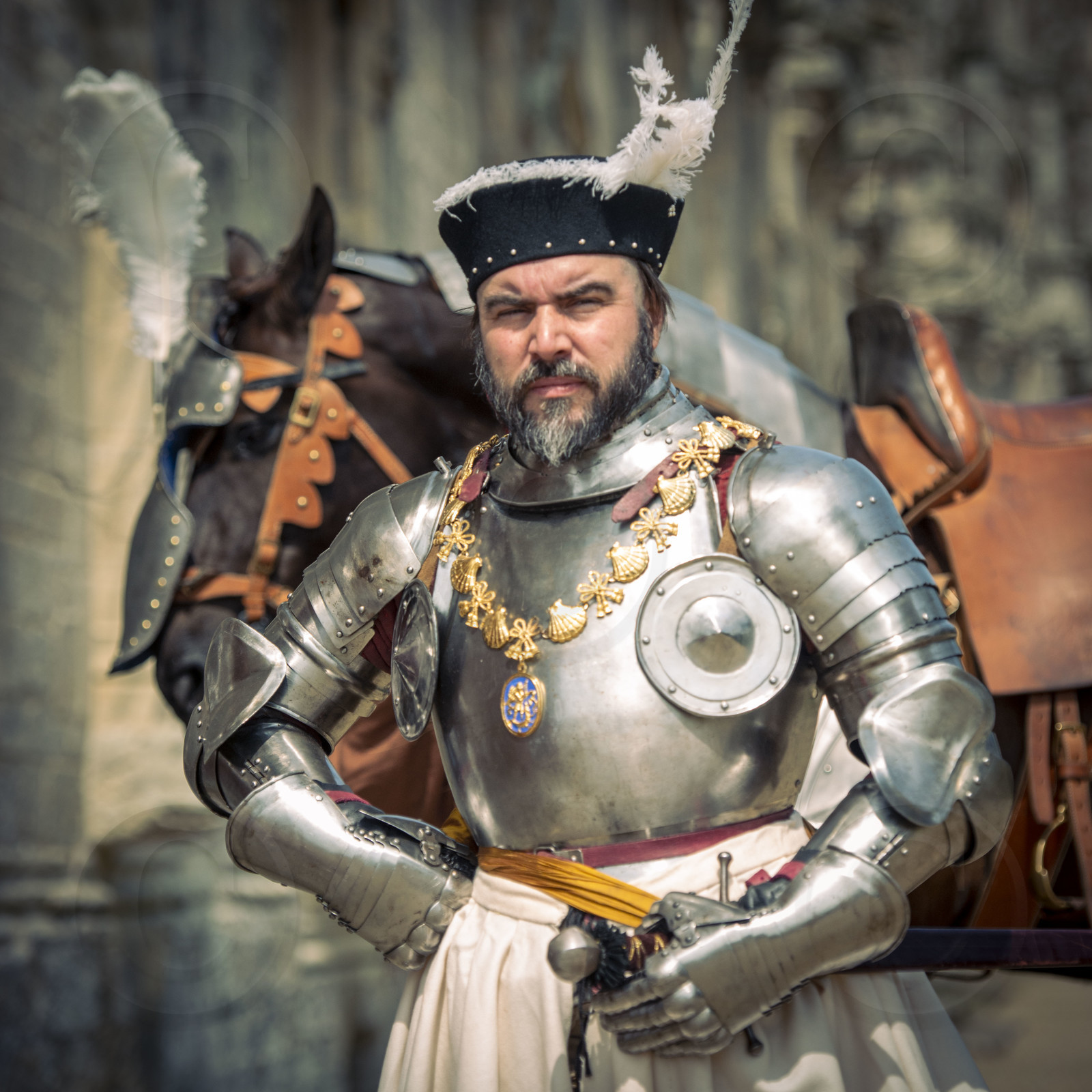 1516 - Charles de Rohan-Gié de retour de Marignan