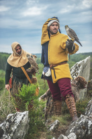 1355 - Le fauconnier du roi