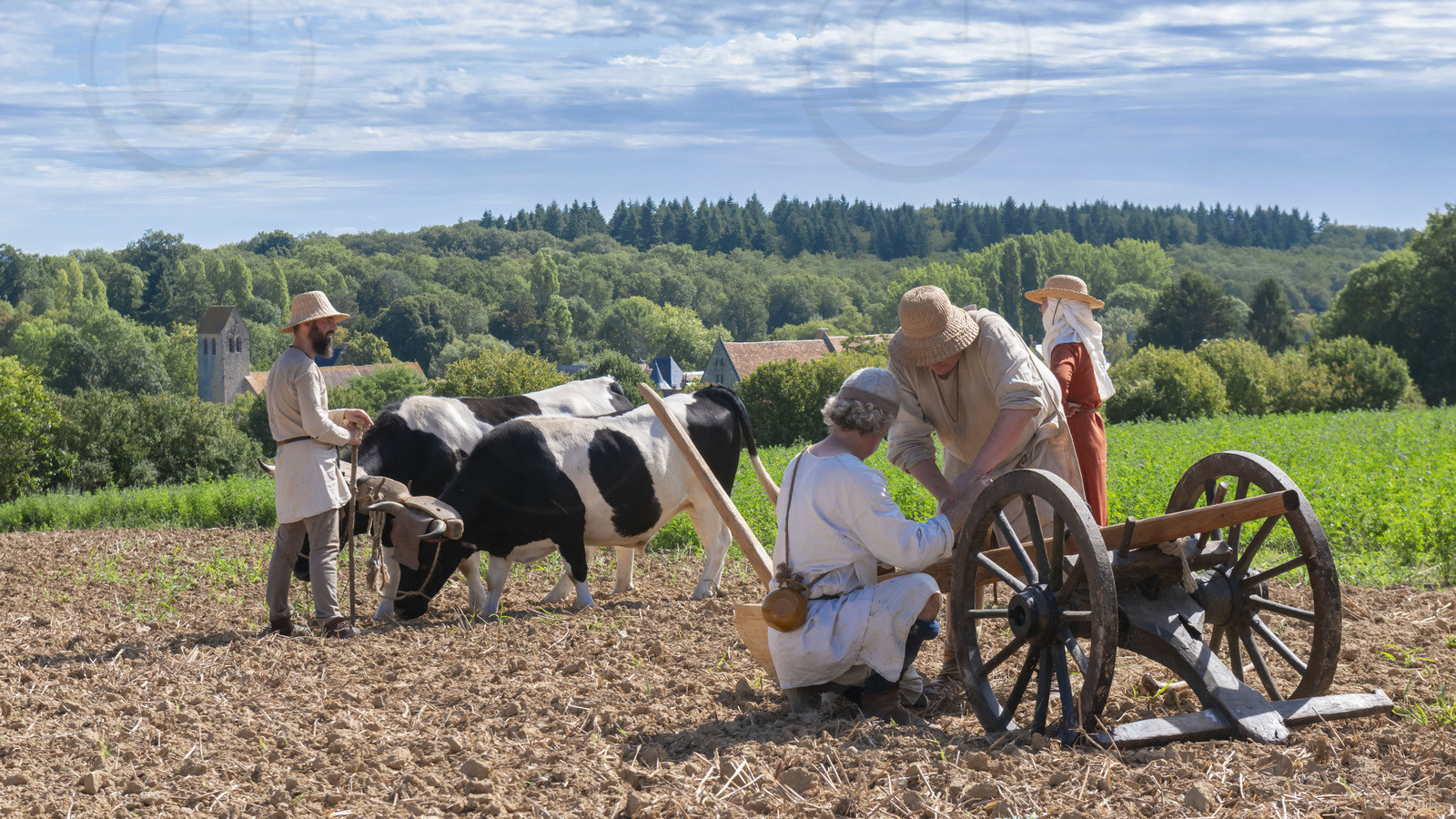 1127 - Labour des champs